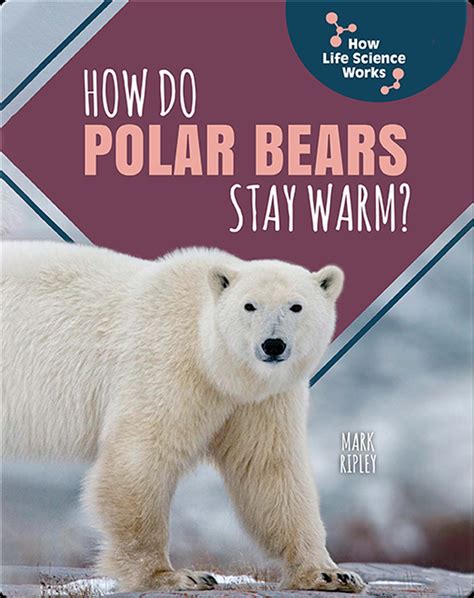 How Do Polar Bears Stay Warm Book By Mark Ripley Epic