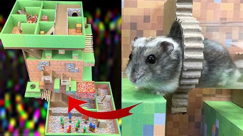 Hamster Vertical Maze Cute Hamster In Minecraft World Hdv Tv Youtube