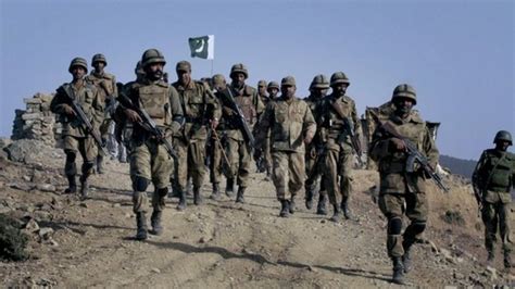 Will Pakistan Go All Out Against Militants Bbc News