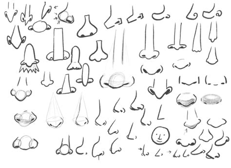 Day 2 // How to Draw Noses • Bardot Brush gambar png
