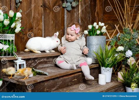 Cute Little Girl With A Bunny Rabbit Little Girl Playing With Rabbit