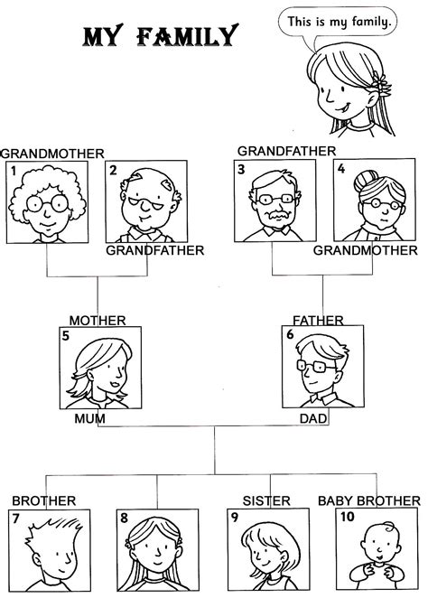 Atividades Sobre Membros Da Familia Em Ingles 6 Ano Edulearn