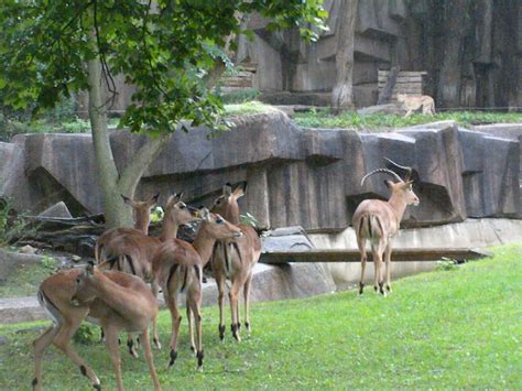 The Zoo Review: Zoo Review: Milwaukee County Zoo