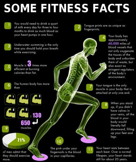 17 Best Images About Fitness Tips On Pinterest How To