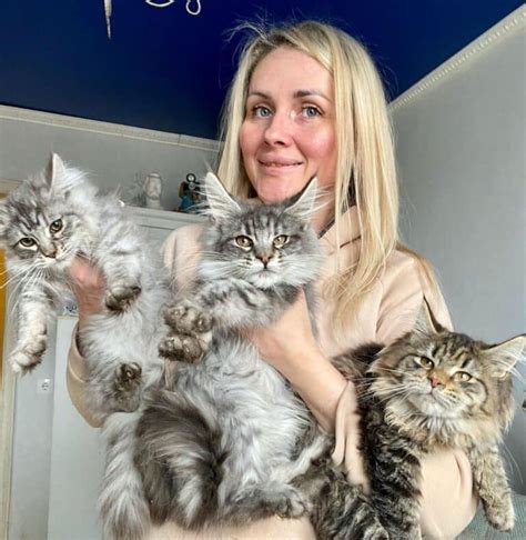 22 Adorable Maine Coons With Their Owners