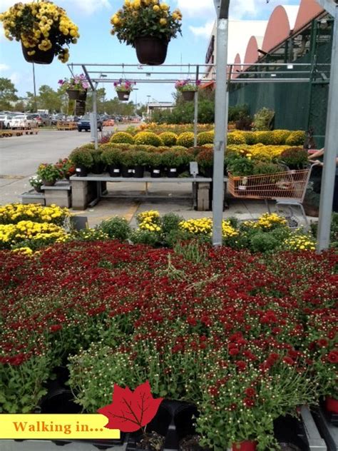 It's home improvement time, and the home depot has everything you need for spring. Fall Decorating at Home Depot's Garden Center | A Very ...