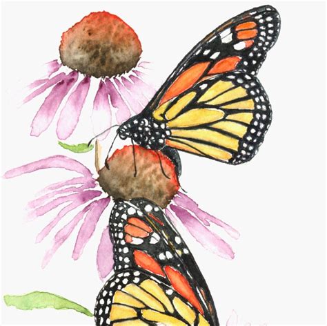 Monarch Butterfly Painting 5x8 Original Watercolor Cone