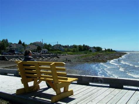 Quais De Kamouraska 2020 Ce Quil Faut Savoir Pour Votre Visite