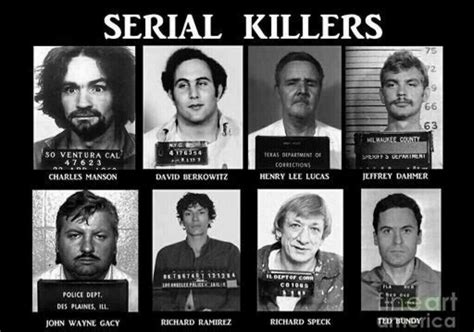 Fases Del Asesino Serial