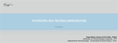 Solution Anatomia Dos Tecidos Periodontais Parte Periodontia