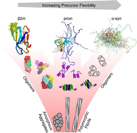 Frontiers Generating Ensembles Of Dynamic Misfolding Proteins