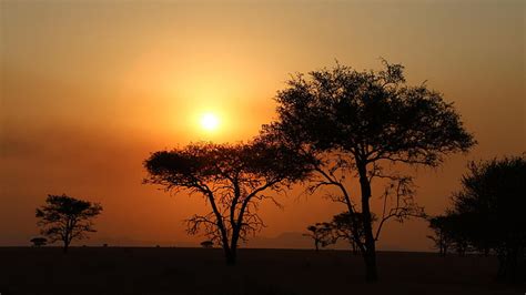 Online Crop Hd Wallpaper Sunset Serengeti Sky Serengeti National