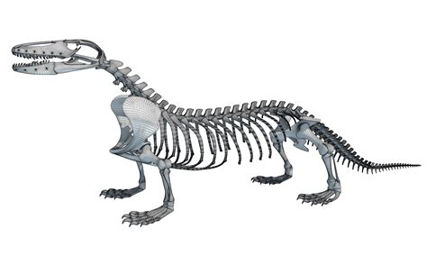 Komodo Dragon Skeleton 3d Model Cgtrader
