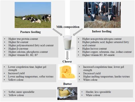 Compositional And Functional Properties Of Milk And Dairy Products