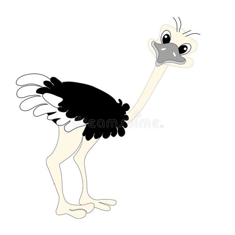 Ostrich Cartoons Flat Design Cartoons Object Isolated Cute Bird Design