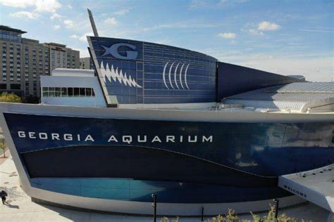 Georgia Aquarium Tickets Discount Atlanta Undercover Tourist