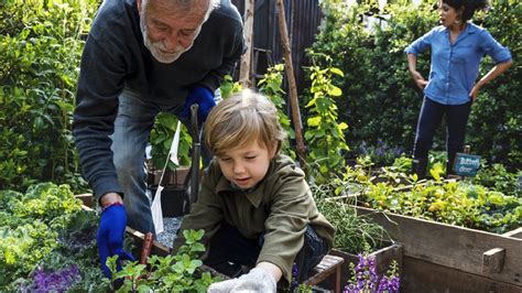 6 Ways To Get Your Kids Into Gardening Bt