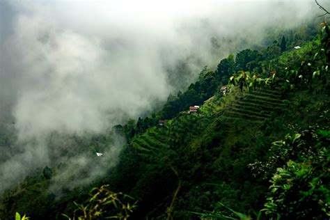 12 Places To Visit In Darjeeling To Explore The Himalayas Veena World