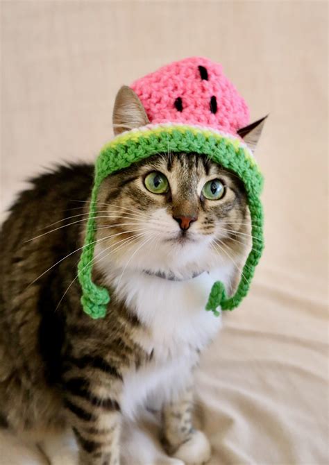 Watermelon Hat For Cats Crochet Watermelon Hat For Cats And Etsy Uk