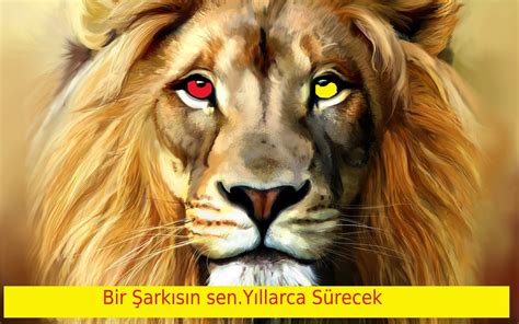 Galatasaray'ın sembolü neden aslan sorusunu fotomaç gazetesi spor yazarı bülent tuncay görüntülü yanıtlıyor. Aslan Resimleri