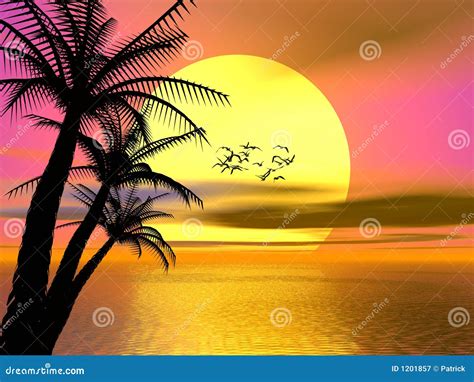 Colorful Tropical Sunset Sunrise Stock Illustration Illustration Of