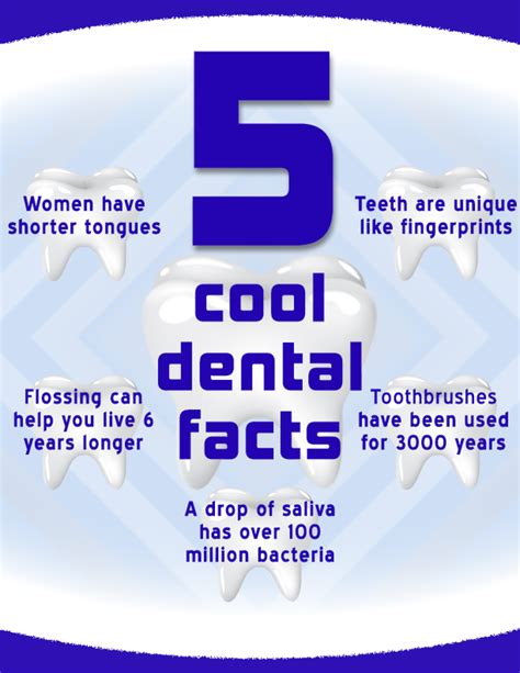 Some Cool Dental Facts! | Dental facts, Dental flossing, Dental