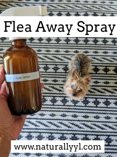 Flea Away Spray Homemade Flea Spray Flea Spray For Dogs Flea Spray