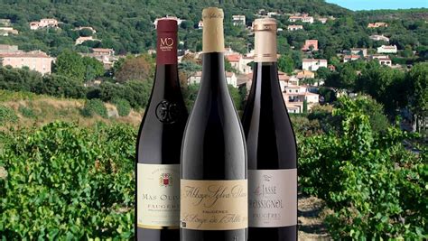 3 Most Popular Languedoc Roussillon Red Wines Tasteatlas