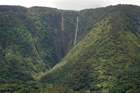 Muliwai Trail to Waimanu Valley | Big Island Hawaii | Big island hawaii, Hawaii island, Big island