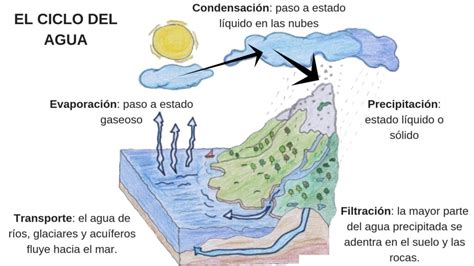 Esquema Del Ciclo Del Agua ¡fotos And Guía 2021