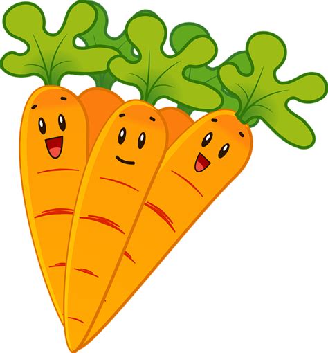 Download Carrots Vegetables Nature Royalty Free Vector Graphic Pixabay