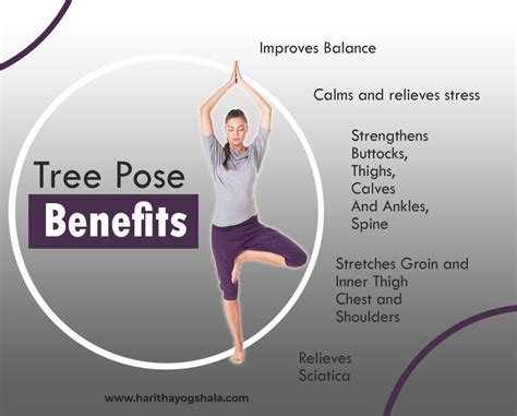 Health Benefits Of Tree Pose Yoga School Yoga Teacher Training