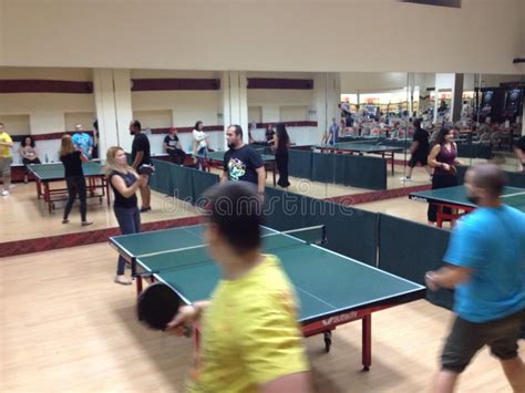1537 People Playing Ping Pong Photos Free And Royalty