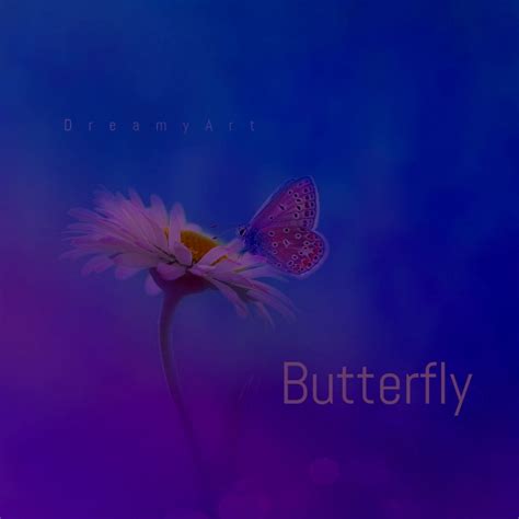Butterfly Cd Cover Art Template Postermywall