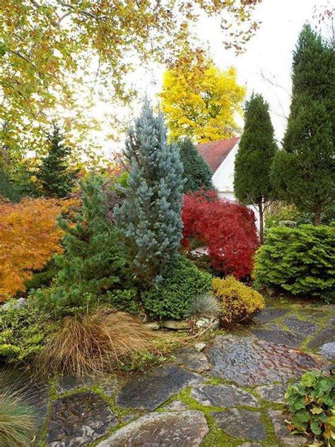 14 Best Pine Tree Landscaping Peculiarities Images On Pinterest