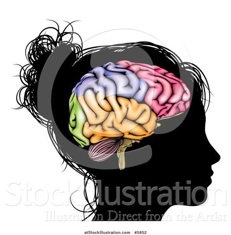 Vector Illustration Of A Silhouetted Womans Head With A Visual Brain By Atstockillustration 5852