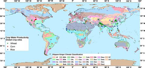 Spatial Distribution Of Crop Water Productivity Cwp Of Irrigated Crop