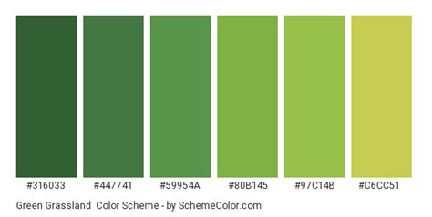 Green Grassland Color Scheme Green