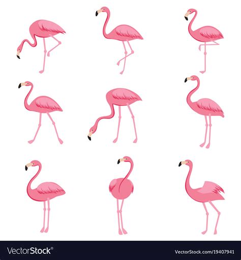 Cartoon Pink Flamingo Set Cute Flamingos Vector Image