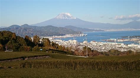 Shimizu Port Shizuoka All You Need To Know Before You Go Updated