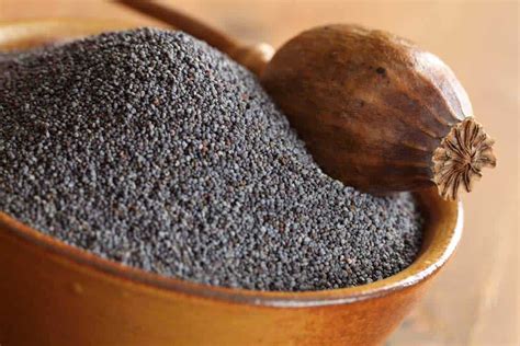 A subreddit dedicated to poppy tea. Poppy Seed Tea Recipe - The Right Way To Make It (December ...