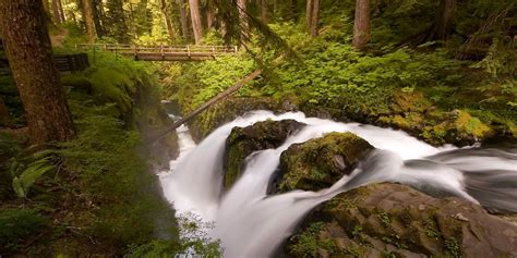 Figuring Out How To See The Most Of Olympic National Park Can Be