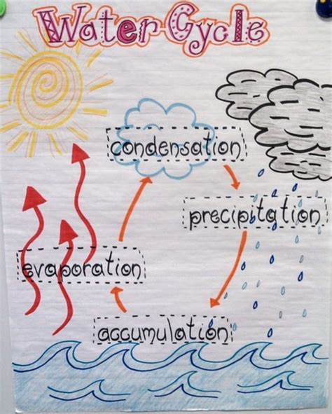 Water Cycle Anchor Chart For Kids