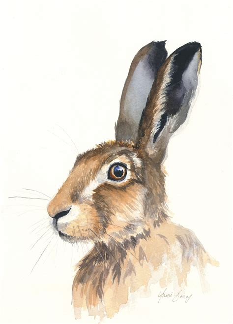 Hare 001 Limited Edition Print Ginger Hare Art