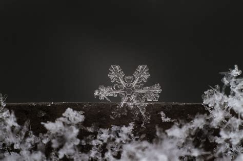 Melting Snowflake Snowflakes Photo Sharing Photo