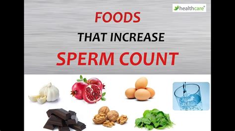 Foods That Increase Sperm Count Youtube