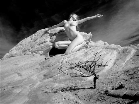 Desert Nude With Tree Photograph By Chris Maher Fine Art America