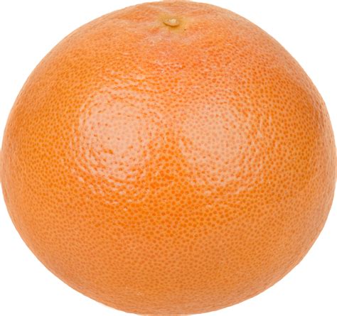 Grapefruit Png Image Purepng Free Transparent Cc0 Png Image Library