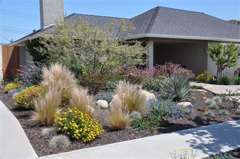 Gallery Mediterranean Front House Landscaping Landscaping Plants