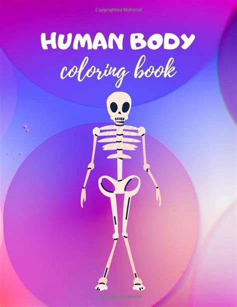 Human Body Coloring Book Premium Quality Coloring Pages For Drawing Anatomy And Physiology